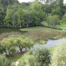 08. March 2017. Eutrophication Cambridge Tree Trust